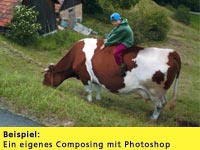 Photoshop-Beispiel